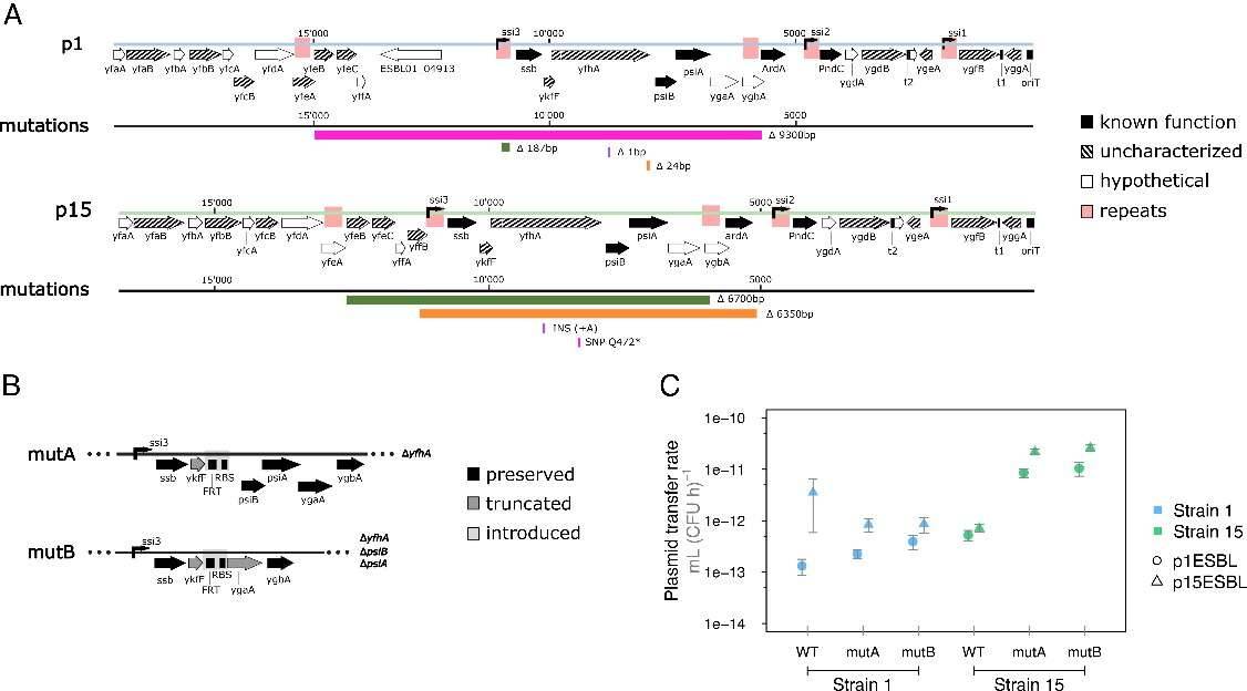 Fig 2. Host-specific increases in transfer rate due to genetic changes in the plasmid leading region. (Benz et al., 2023)